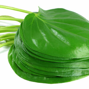Betel Leaves